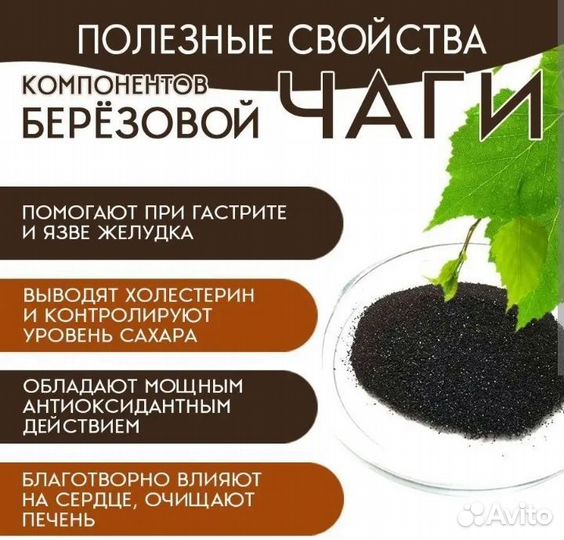 Экстракт чаги