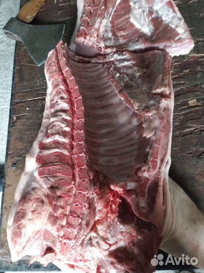 Мясо свинина