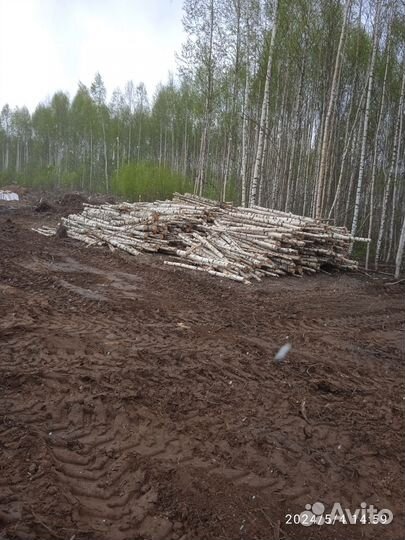 Дрова березовые