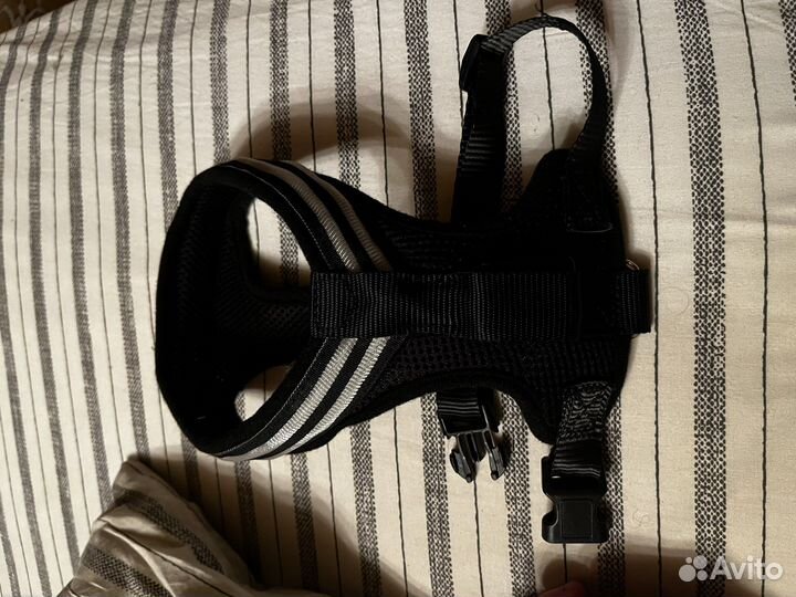 Tappi амуниция светодиодная шлейка кадо черная М