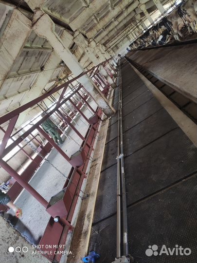 Молочное оборудование