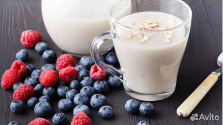 Лечебный овсяный кисель Изотова