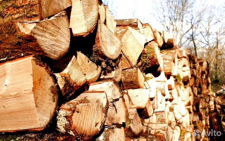 Дрова осина ольха