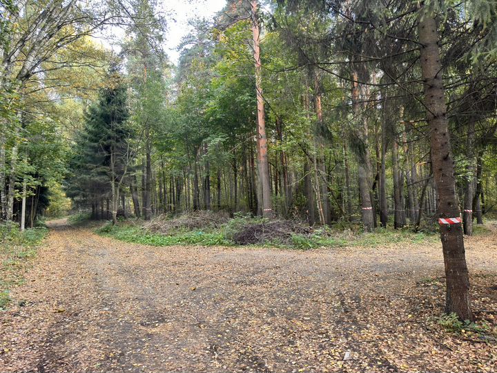 Участок 5 сот. (ИЖС)