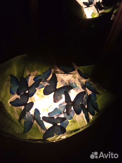 Букет с бабочками