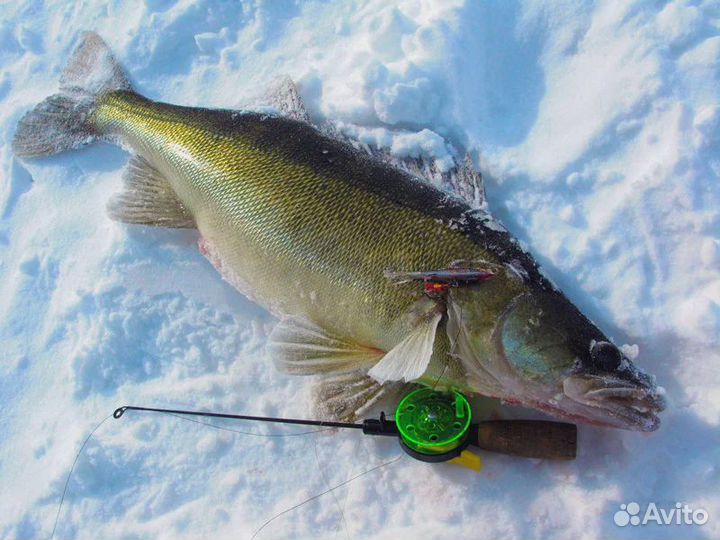 Зимняя рыбалка