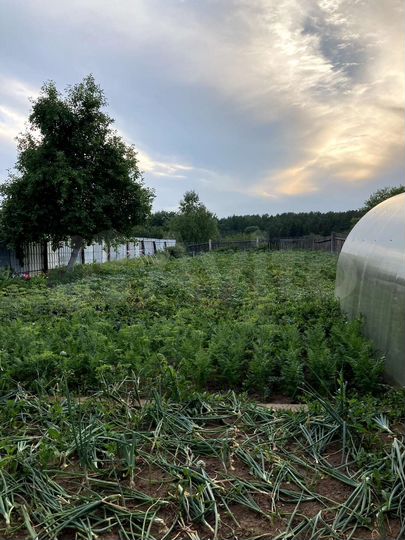 Дом 48 м² на участке 9 сот.