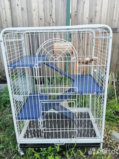 Клетка для грызунов бу