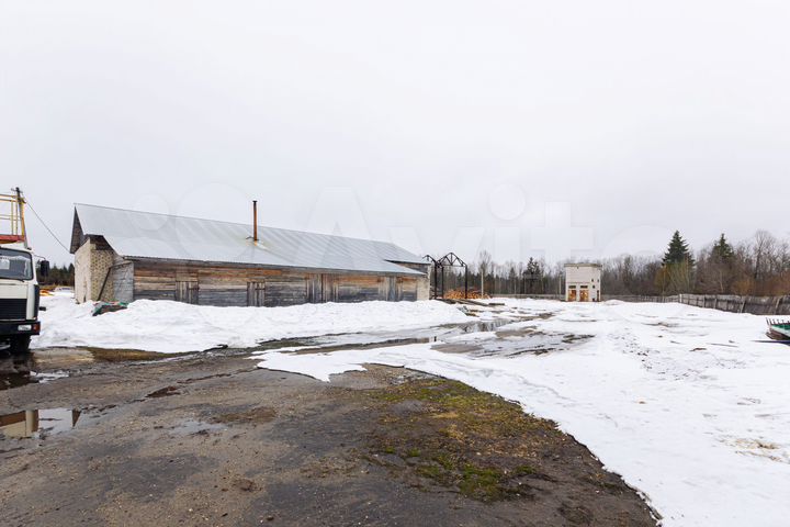 Производственный комплекс (деревообработка)