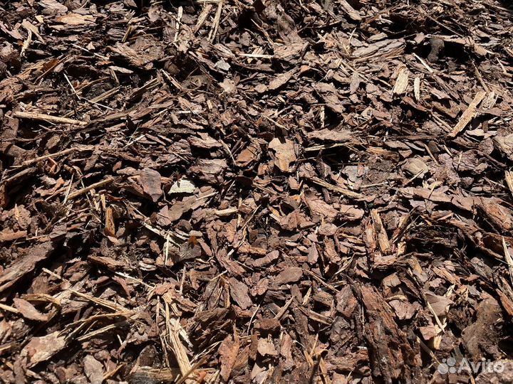 Мульча сосновая кора