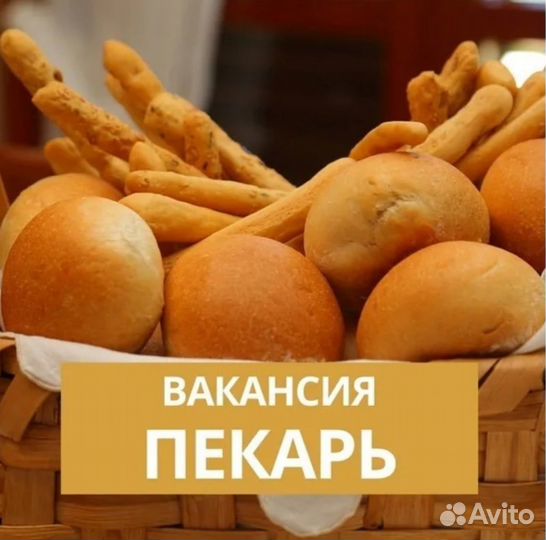 Пекарь 20,56103477