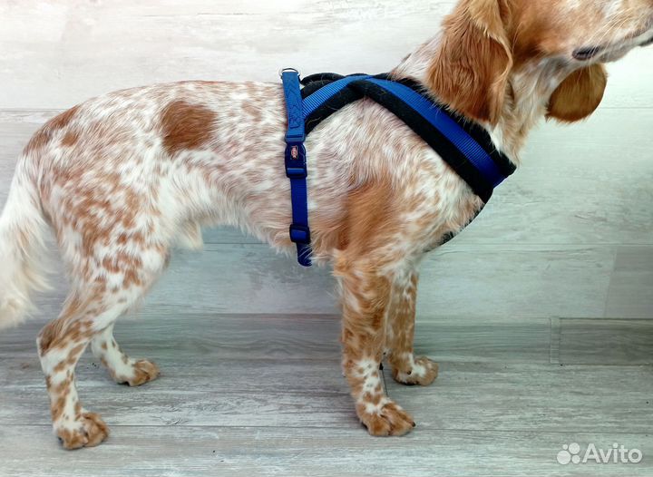 Шлейка для собак Trixie Premium Touring