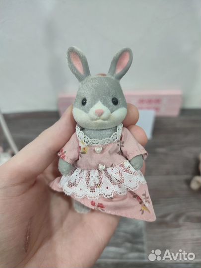 Зайчик сильвания до 2005 года