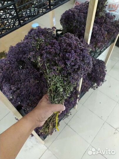 Матрёшка она же Душица