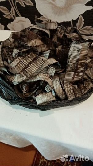 Катализатор