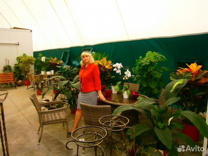 Главный бухгалтер