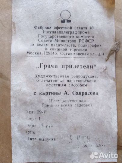 Грачи прилетели