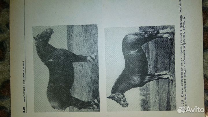 Книга учебное пособие экстерьер с.х.животных