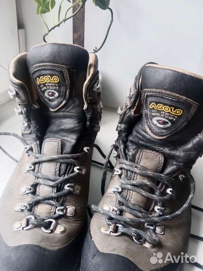 Ботинки треккинговые asolo