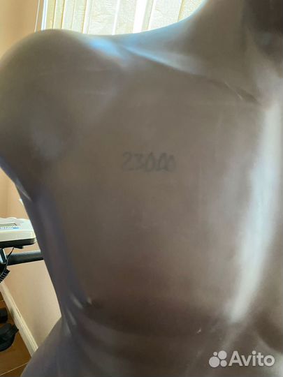 Груша герман