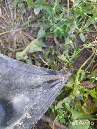 Капот Lacetti 2003-2013;Forenza 2003-2008;Nubira 2