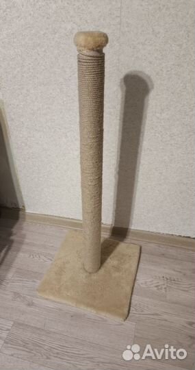 Когтеточка