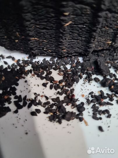 Лекарство от всех болезней-Масло черного тмина