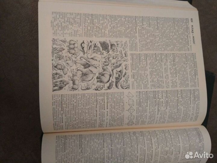 Большой энциклопедический словарь