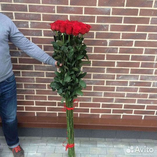 Высокие розы Гигантские розы с доставкой