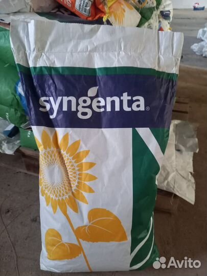 Семена подсолнечника гибрид