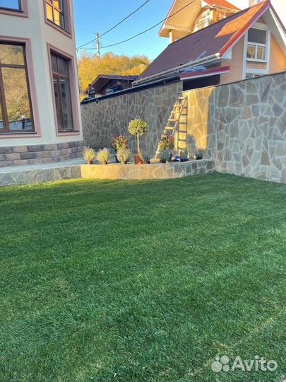 Рулонный газон от производителя + полив