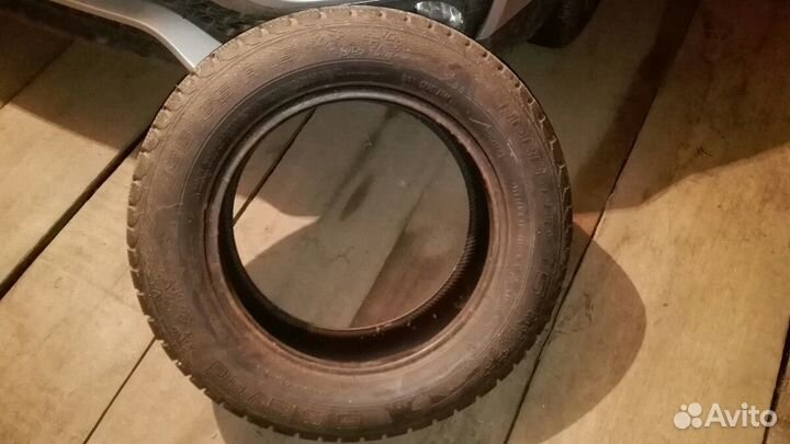 Gislaved Nord Frost 5 195/65 R15