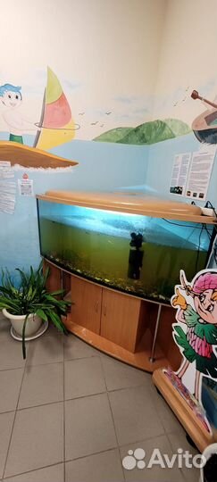 Аквариум с тумбой 300 литров