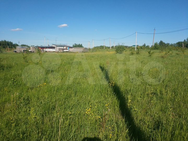 Участок 14,5 сот. (ИЖС)