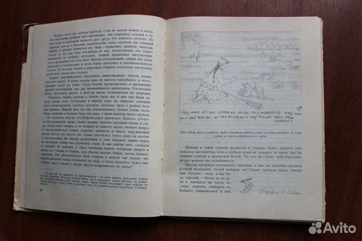 Серая Сова Саджо и ее бобры.1968г