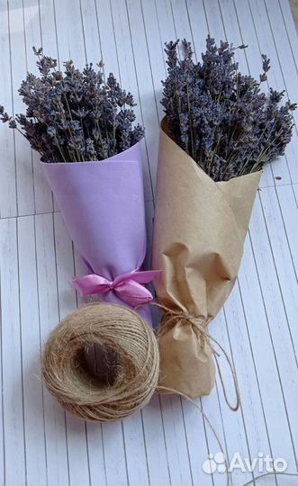 Лаванда сухоцвет свежая срезка