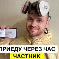 Дезинфекция уничтожение насекомых