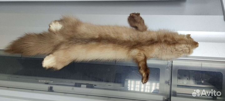 Шкурки пушнина мех куница и норка