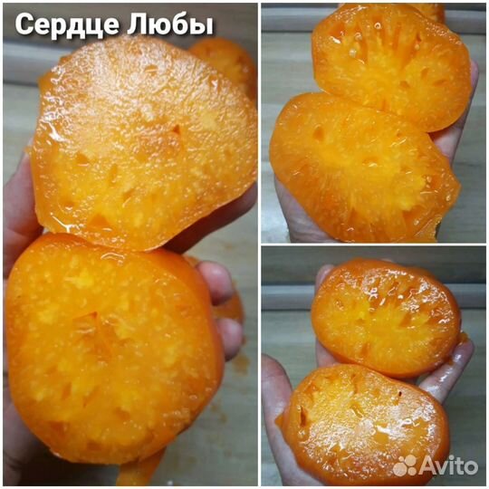 Оранжевые томаты. Семена