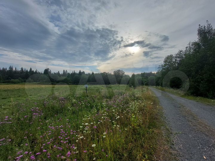 Участок 30 сот. (ИЖС)