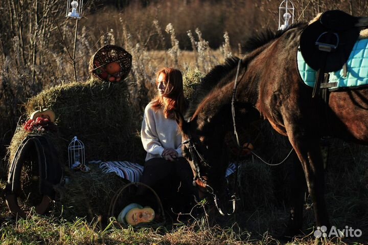 Конные прогулки и аренда лошадей