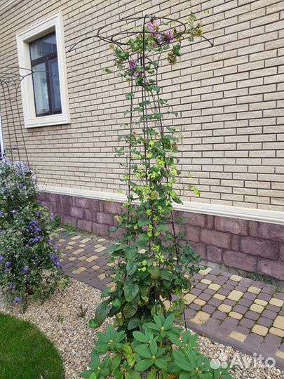 Опора для клематисов