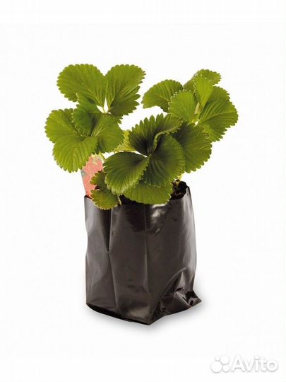 Пакеты для рассады 0,5 л