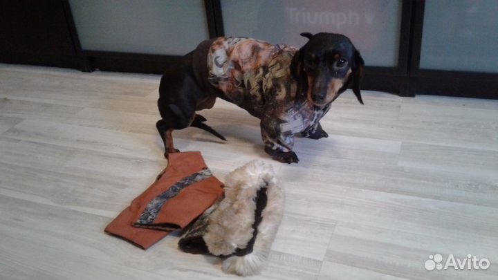 Куртка - комбинезон для собаки 30 см по спинке