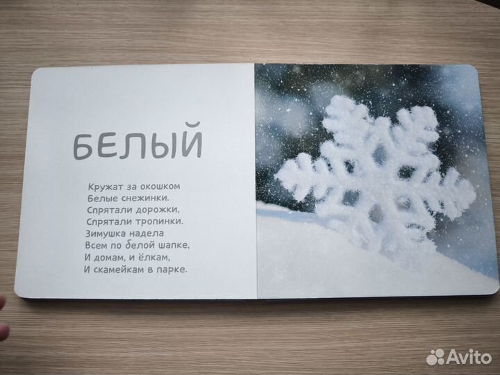 Книга Учу цвета clever