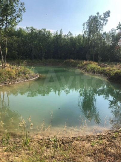 Участок 100 сот. (СНТ, ДНП)