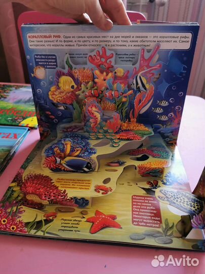 Книга панорама