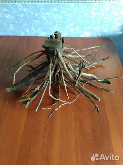 Коряги для аквариума подготовленные