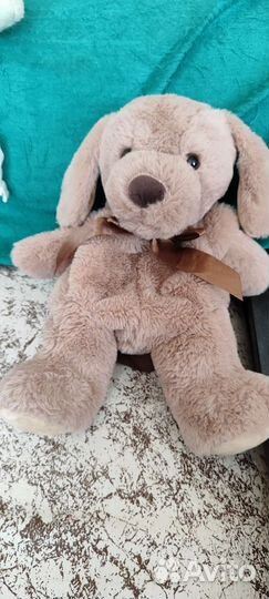 Собака рюкзак детский