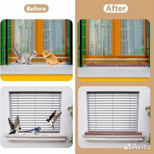 Шипы против голубей и котов